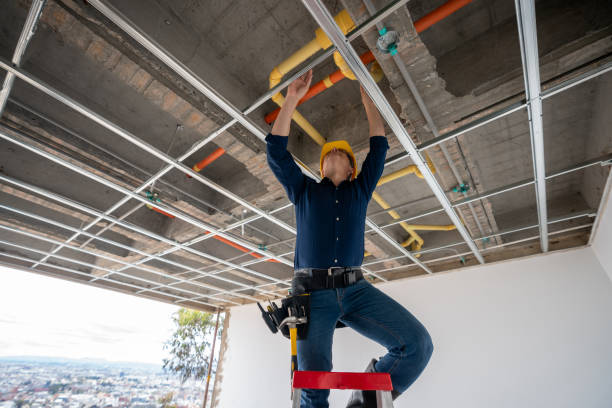Best Plumbing Inspection Services  in Island Heights, NJ