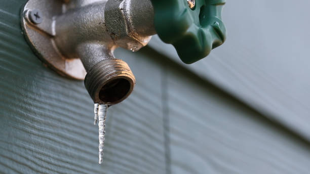 Best Sewer Line Repair  in Island Heights, NJ